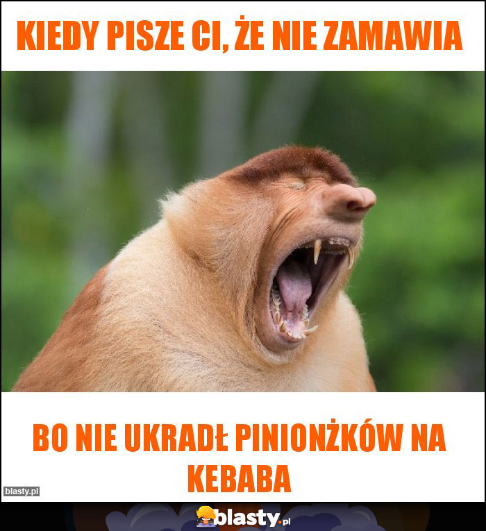 Kiedy pisze Ci, że nie zamawia