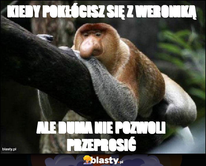 KIEDY POKŁÓCISZ SIĘ Z WERONIKĄ