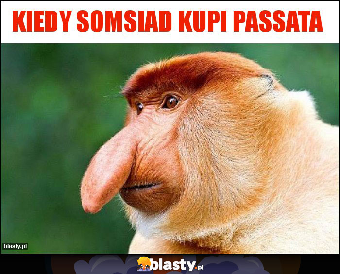 Kiedy somsiad kupi passata