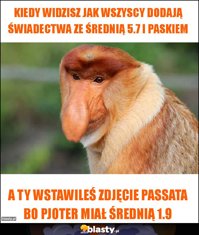 Kiedy widzisz jak wszyscy dodają świadectwa ze średnią 5.7 i Paskiem