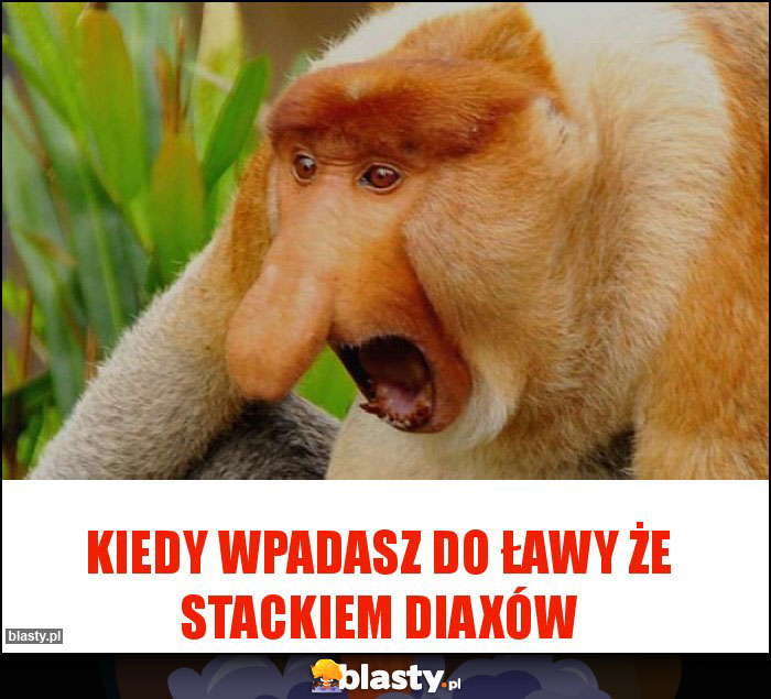 Kiedy wpadasz do ławy że stackiem diaxów