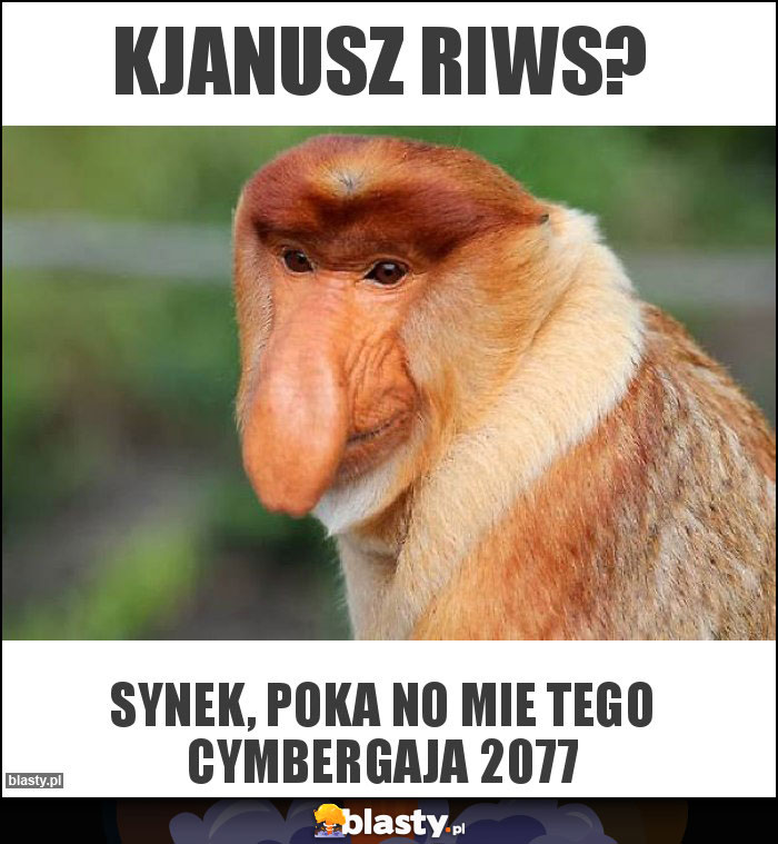 Kjanusz Riws?