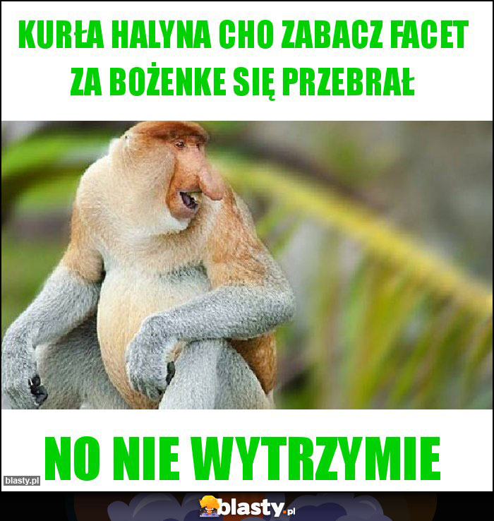 Kurła Halyna Cho zabacz Facet za Bożenke się przebrał