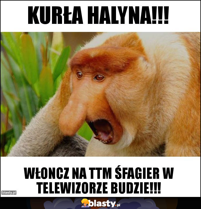 KURŁA HALYNA!!!