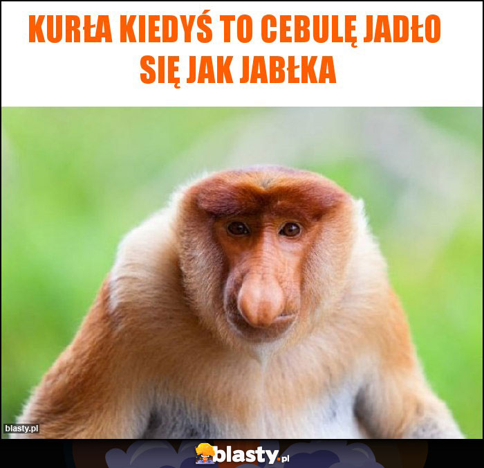 Kurła kiedyś to cebulę jadło  się jak jabłka