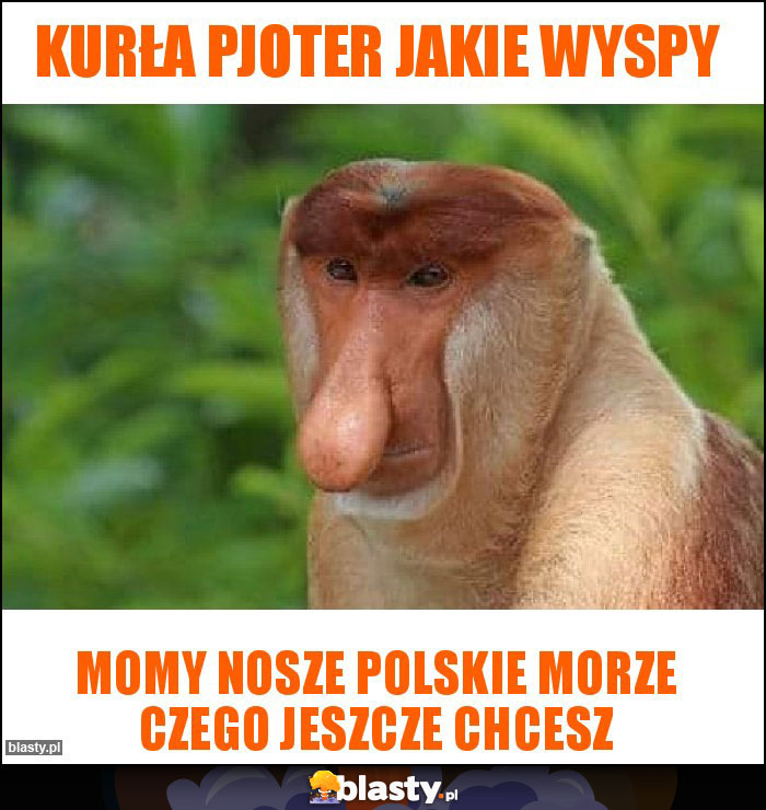 Kurła pjoter jakie wyspy