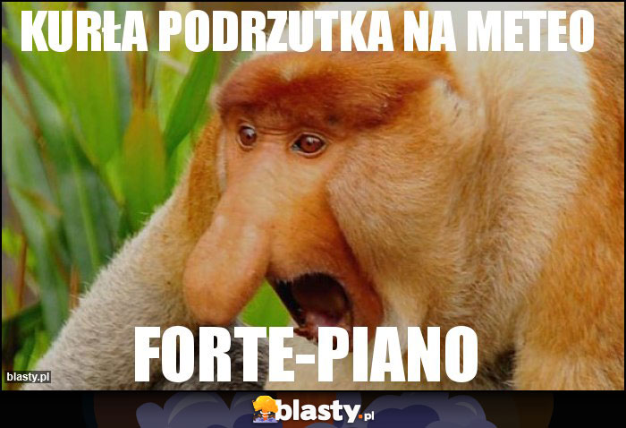 kurła podrzutka na meteo