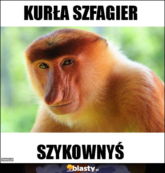 Kurła szfagier