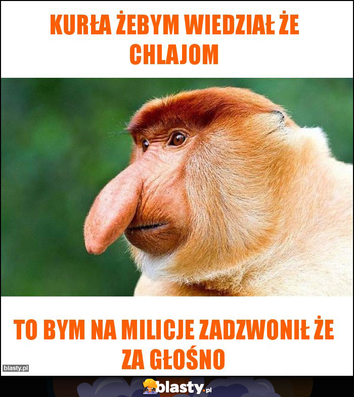 Kurła żebym wiedział że chlajom