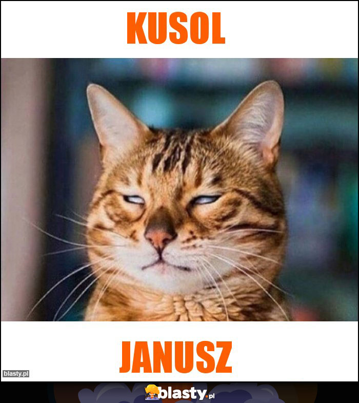 Kusol