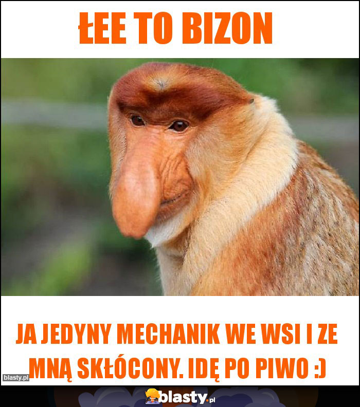 łee to bizon