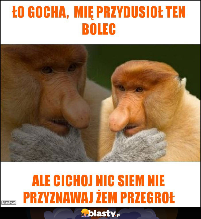 Ło Gocha,  mię przydusioł ten bolec