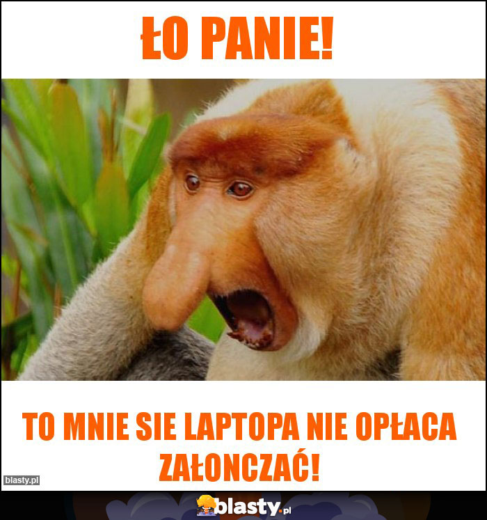 Ło panie!