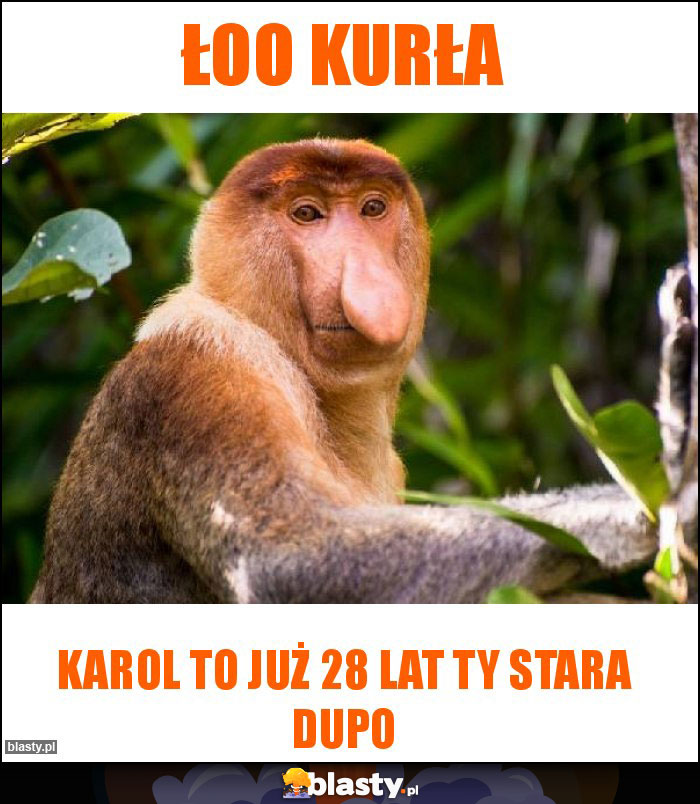 Łoo Kurła