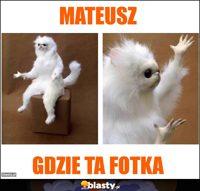 Mateusz