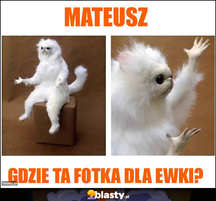 Mateusz