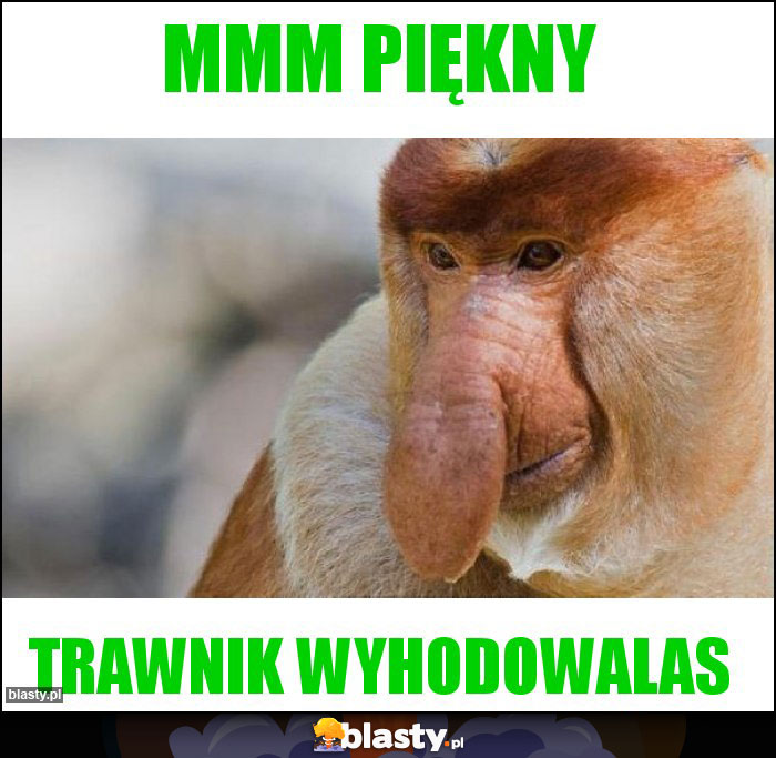 Mmm piękny