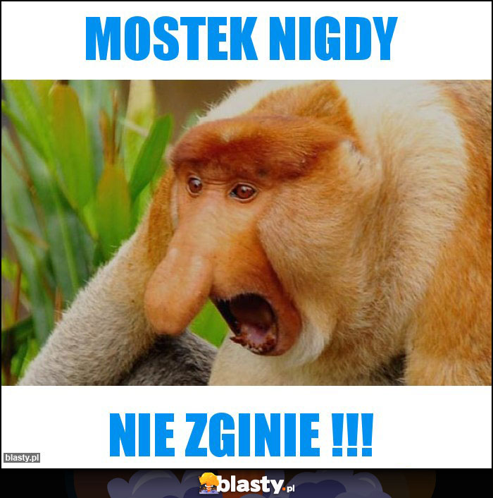 Mostek nigdy