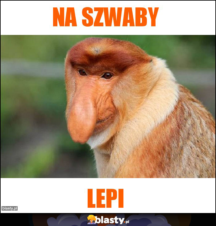 na szwaby