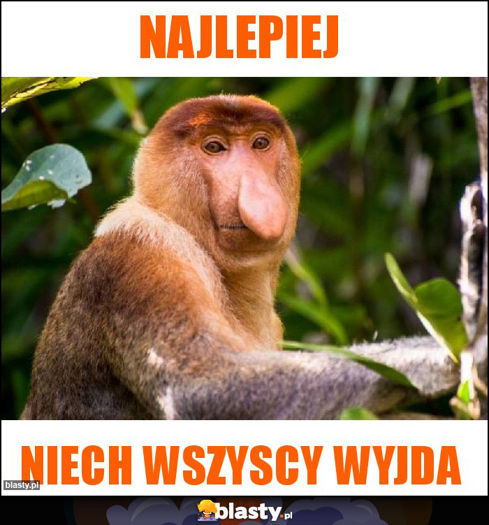 Najlepiej