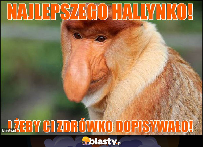 Najlepszego Hallynko!