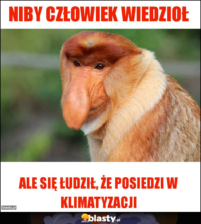 Niby człowiek wiedzioł