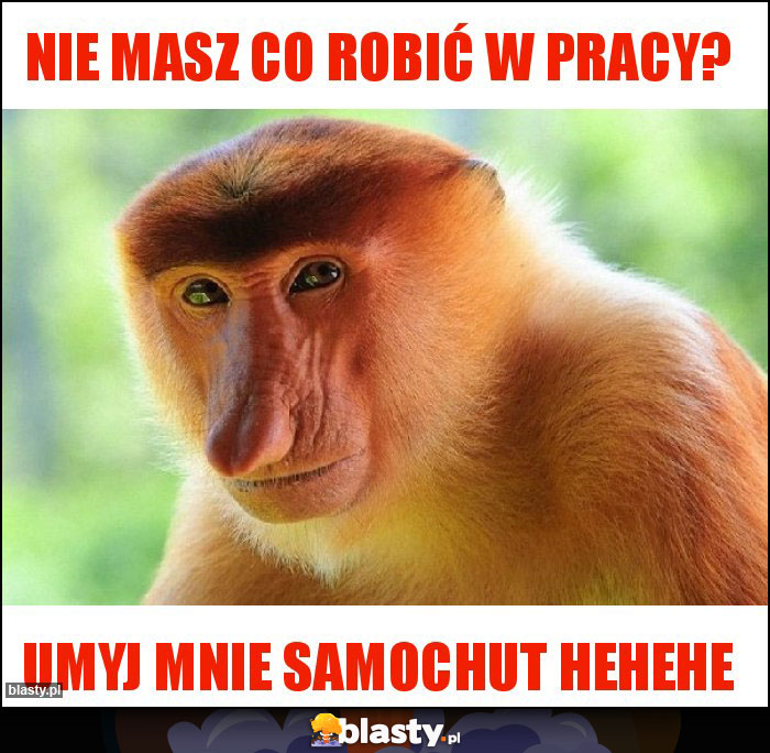 Nie masz co robić w pracy?