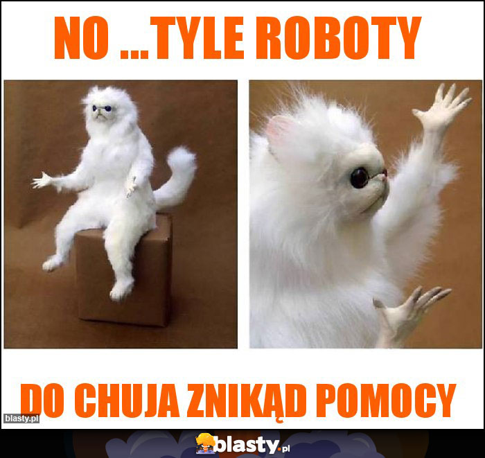 No ...tyle roboty