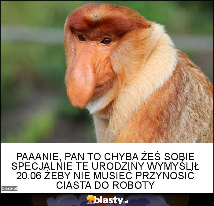 Paaanie, Pan to chyba żeś sobie specjalnie te urodziny wymyślił 20.06 żeby nie musieć przynosić ciasta do roboty