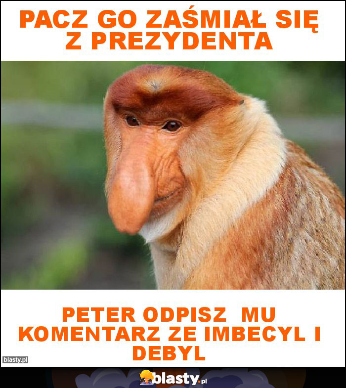 PACZ GO ZAŚMIAŁ SIĘ Z PREZYDENTA