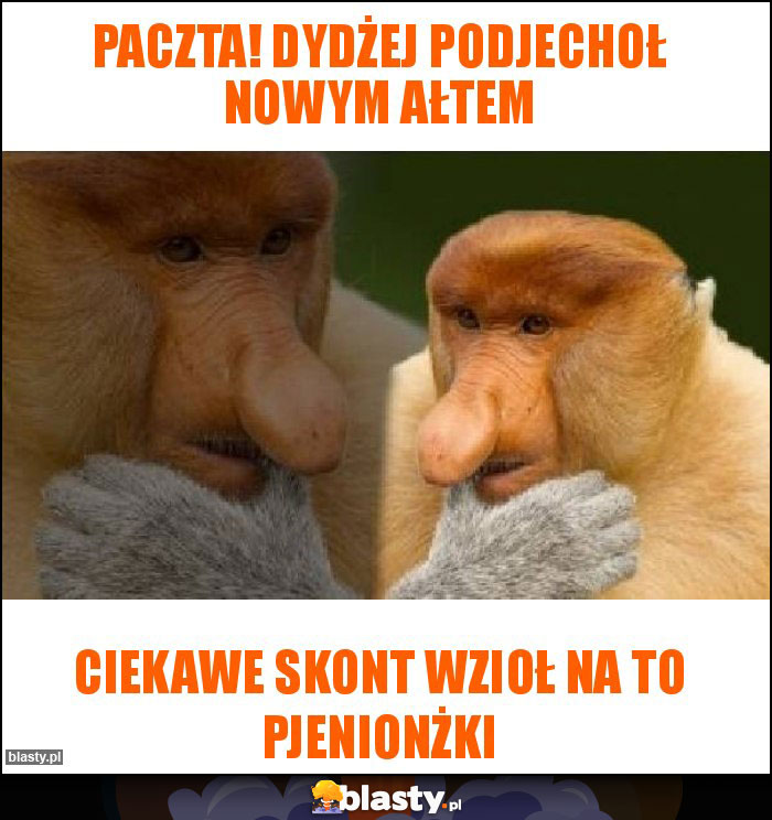 Paczta! Dydżej podjechoł nowym ałtem