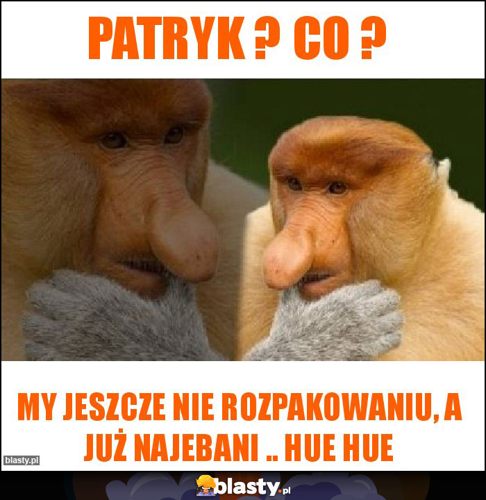 Patryk ? Co ?