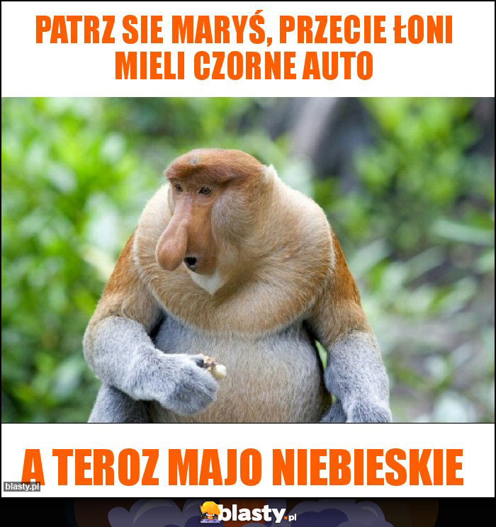 Patrz sie Maryś, przecie łoni mieli czorne auto