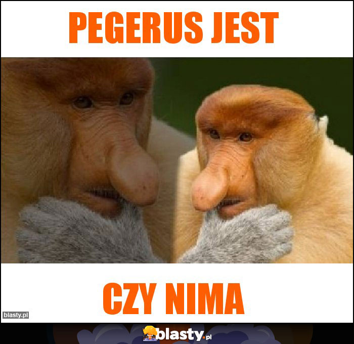 Pegerus jest