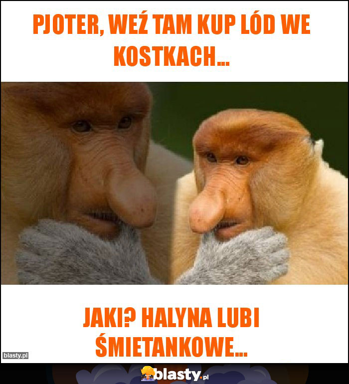 Pjoter, weź tam kup lód we kostkach...