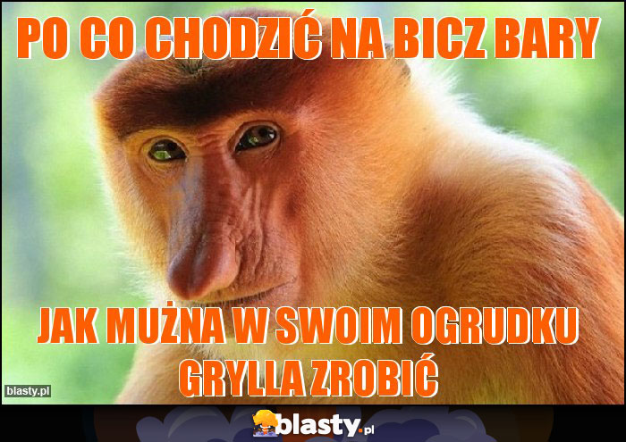 po co chodzić na bicz bary