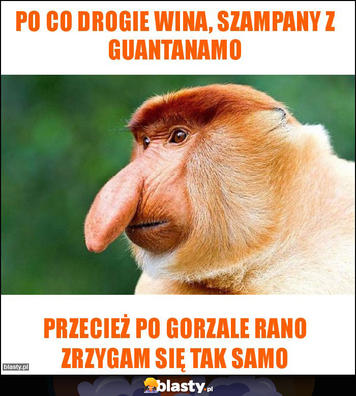 Po co drogie wina, szampany z Guantanamo