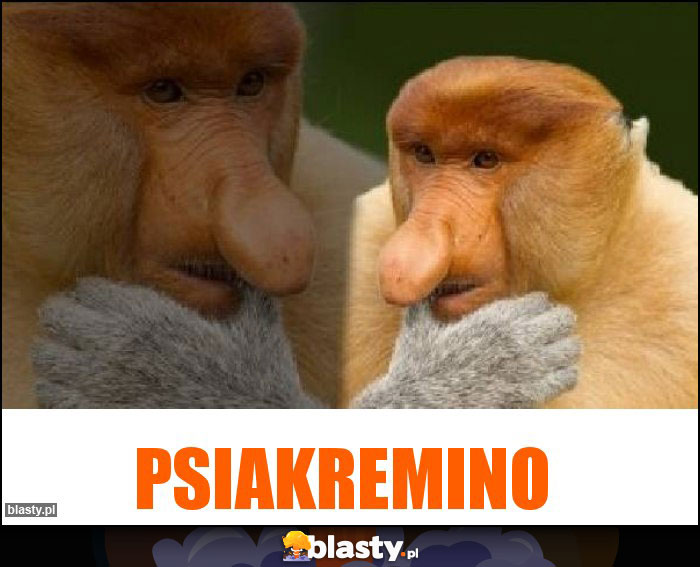 Psiakremino