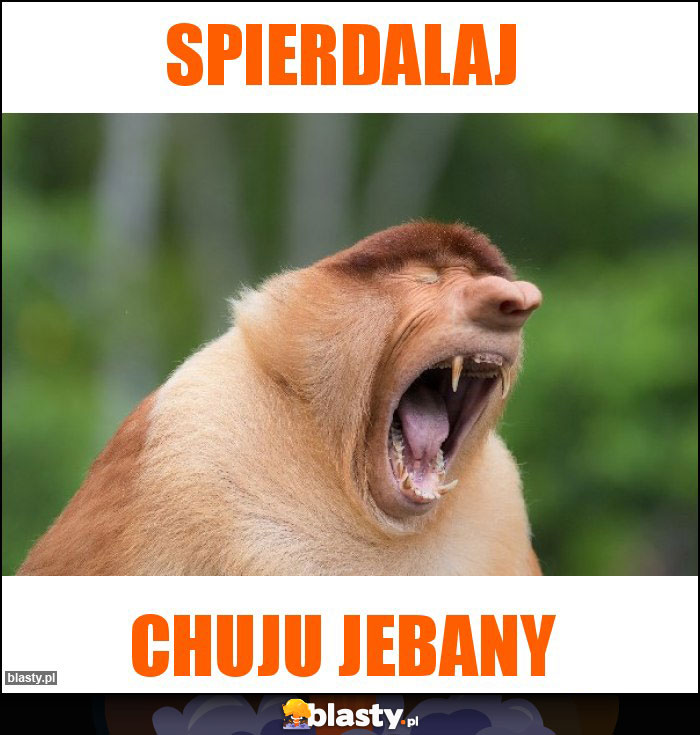 Spierdalaj