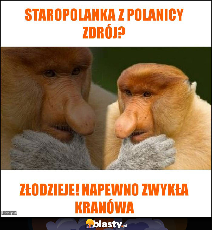 Staropolanka z Polanicy Zdrój?