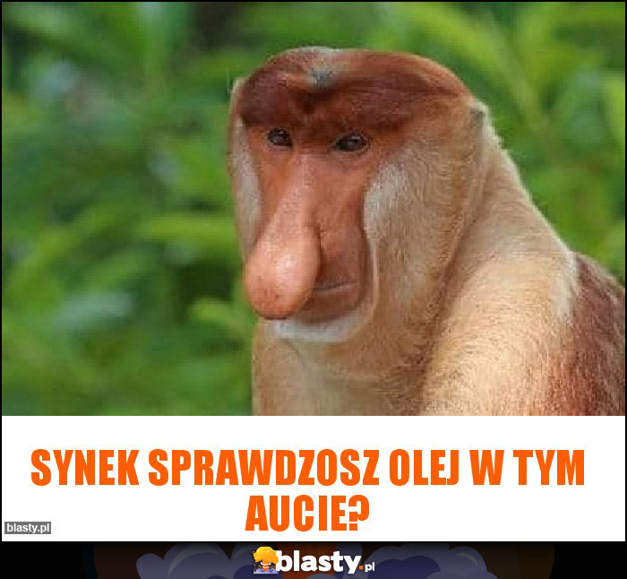 Synek sprawdzosz olej w tym aucie?