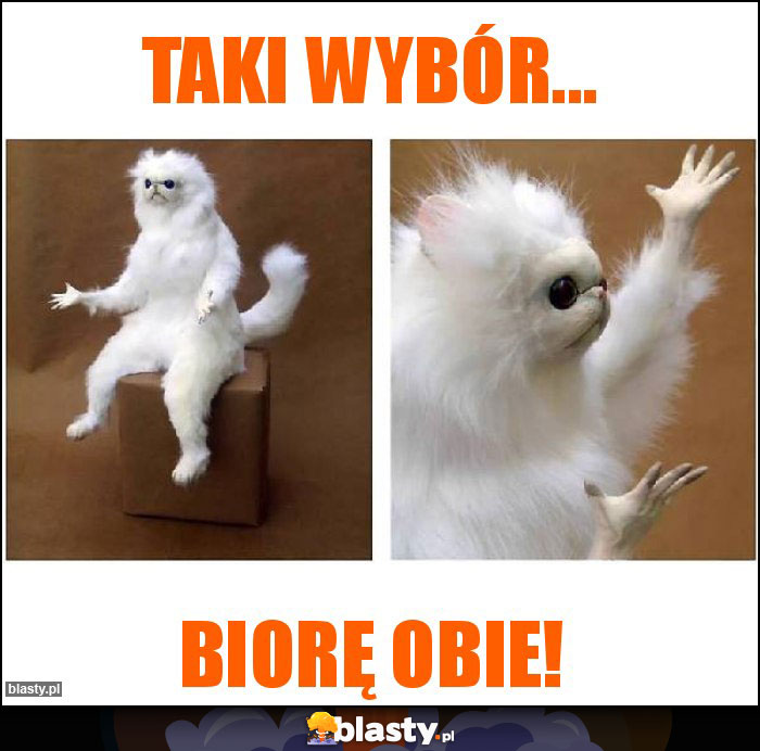 Taki wybór...