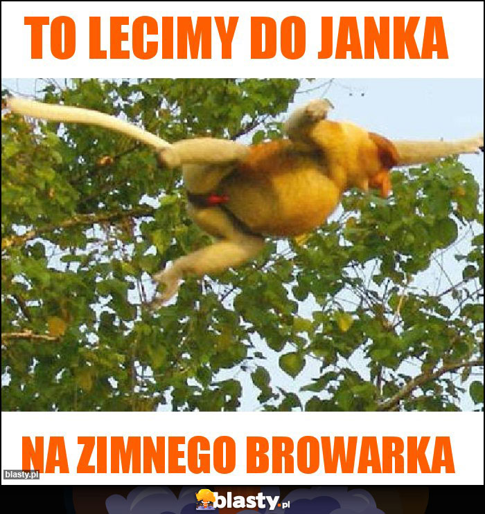 To lecimy do Janka