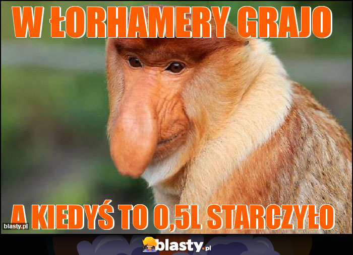 W Łorhamery grajo