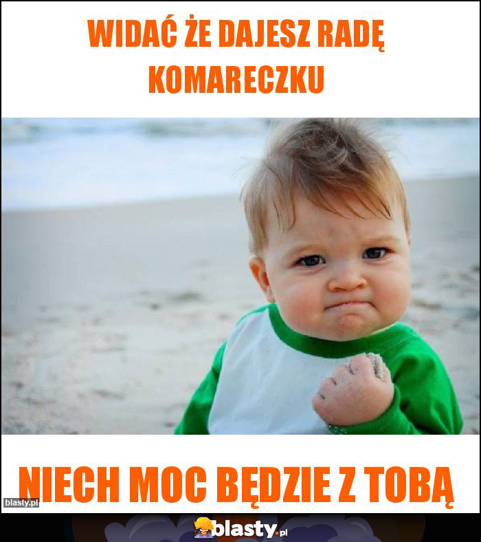 Widać że dajesz radę komareczku