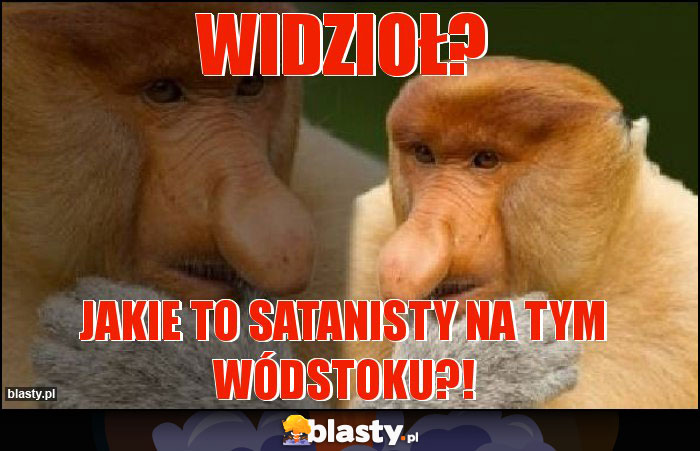 Widzioł?