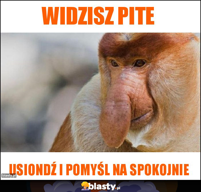 Widzisz Pite