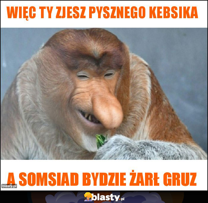 Więc Ty zjesz pysznego kebsika