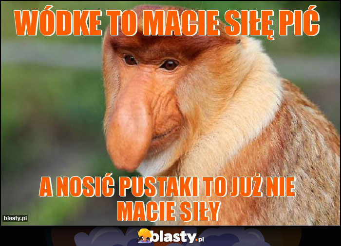 Wódke To macie siłę pić