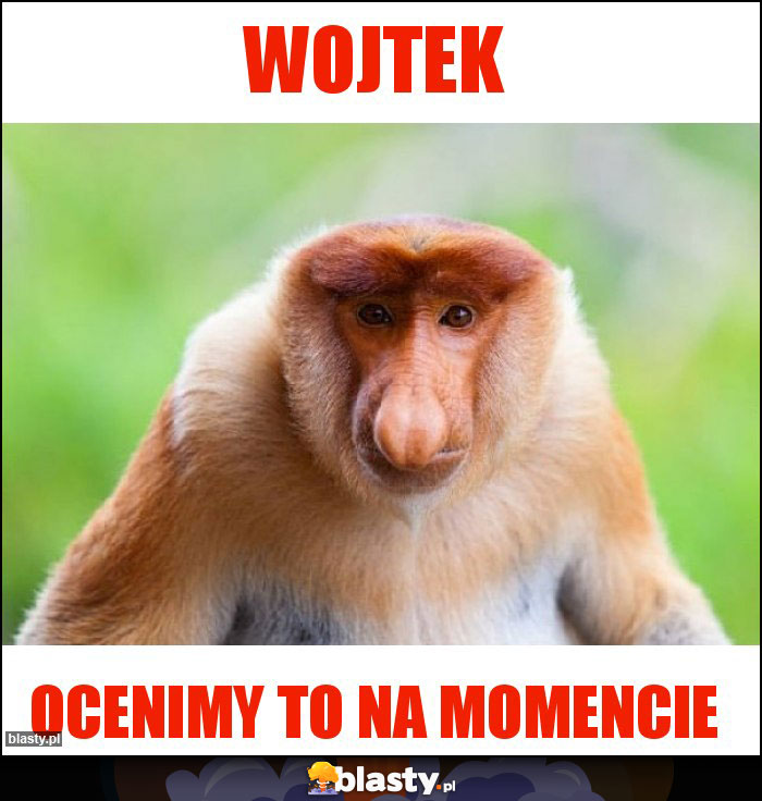 Wojtek